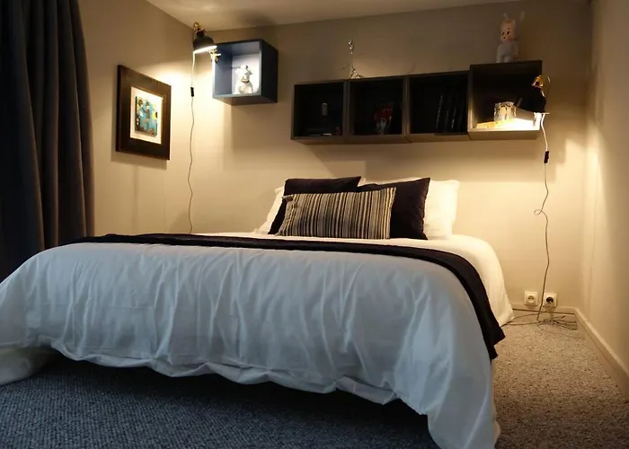 Lägenhet Loft Royal Des Promenades Reims