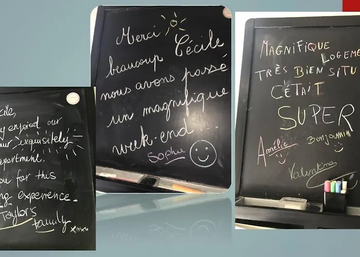 Loft Royal Des Promenades Apartment Reims